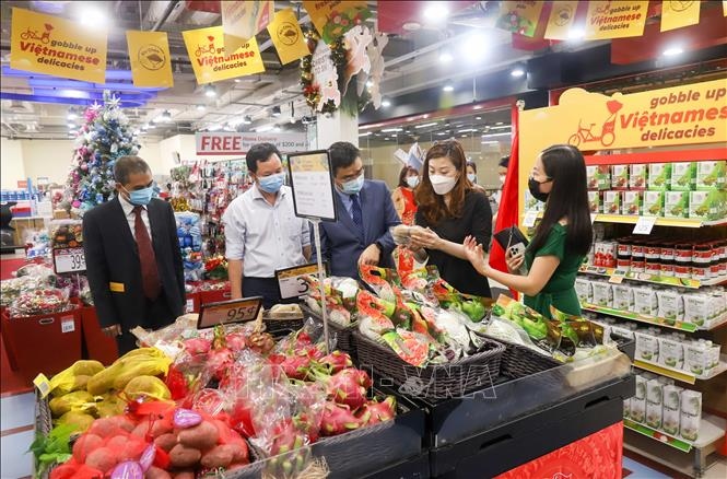 Ample room ahead for Vietnamese goods to penetrate Singaporean market